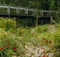 Eurobodalla Botanic Gardens - Accommodation Adelaide