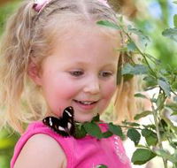 Coffs Harbour Butterfly House - Accommodation Adelaide