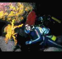 Solitary Islands Marine Park - Accommodation Adelaide