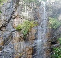Wedding Bells Forest Drive - Accommodation Adelaide