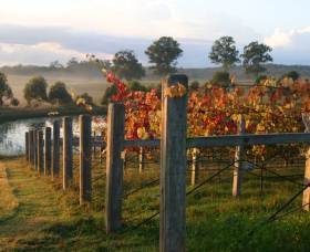 Roses Vineyard At Innes View - Accommodation Adelaide 2
