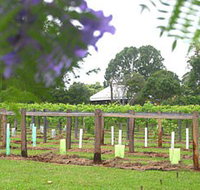 Douglas Vale Historic Homestead  Vineyard - Accommodation Adelaide