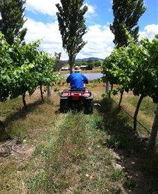 Heifer Station - Accommodation Adelaide 2