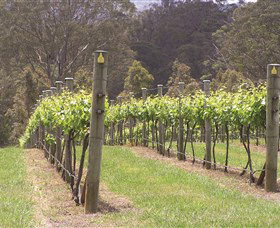 Diamond Creek Estate Cellar Door - Accommodation Adelaide 2