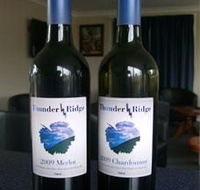 Thunder Ridge Wines - Accommodation Adelaide