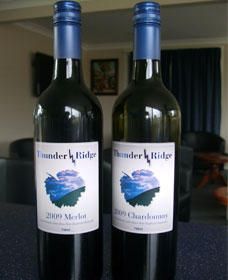 Thunder Ridge Wines - Accommodation Adelaide 0
