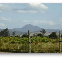 Ironbark Ridge Vineyard - Accommodation Adelaide