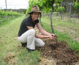 Twisted Gum Wines - Accommodation Adelaide 2