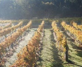 Twisted Gum Wines - Accommodation Adelaide 1