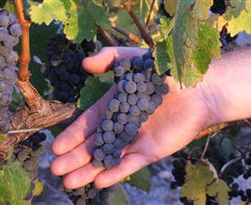 Eagles Rise Wine - Accommodation Adelaide 0