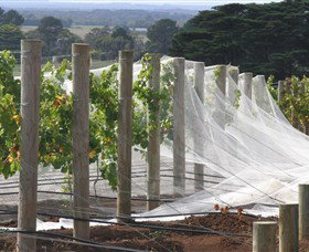 Paradigm Hill - Accommodation Adelaide 1