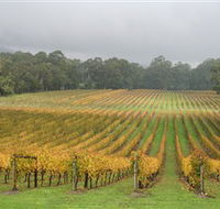 Boat O'Craigo Wines - Accommodation Adelaide