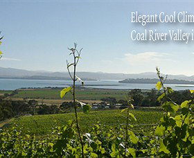 Coal Valley Vineyard - Accommodation Adelaide 5