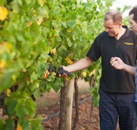 Fratin Brothers Vineyard - Accommodation Adelaide