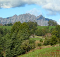 Lake Barrington Vineyard - Accommodation Adelaide