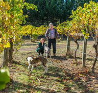 Little River Wines of Taggerty - Accommodation Adelaide