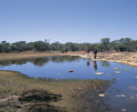 Camel Soak - Accommodation Adelaide 0
