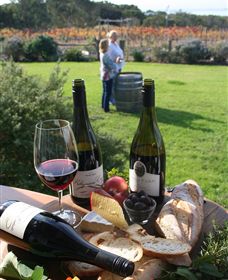 Kiltynane Wines - Accommodation Adelaide 1