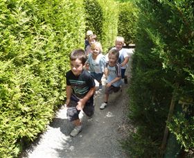 Hedgend Maze And Healesville Laser Sport - Accommodation Adelaide 1