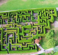 Hedgend Maze and Healesville Laser Sport - Accommodation Adelaide
