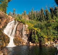 Steavenson Falls Marysville - Accommodation Adelaide