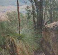 Mount Lawson State Park - Accommodation Adelaide