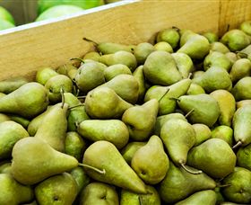 Dandenong Market - Accommodation Adelaide 1