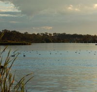 Lake Inverell Reserve - Accommodation Adelaide
