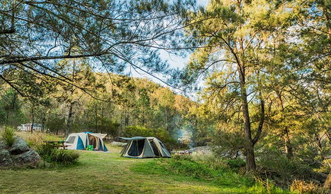 Warrabah National Park - Accommodation Adelaide 1