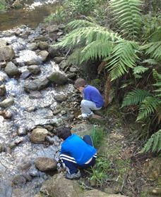 Shelley Forest Camp - Accommodation Adelaide 2