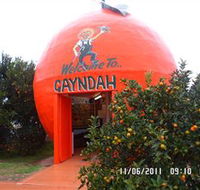 Gayndahs Big Orange - Accommodation Adelaide