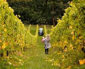 Polperro Winery - Accommodation Adelaide 7