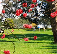 The Yass Golf Club - Accommodation Adelaide