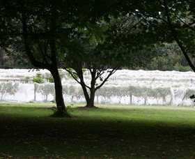 Staindl Wines - Accommodation Adelaide 0