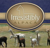 Marchmont Park Alpacas - Accommodation Adelaide