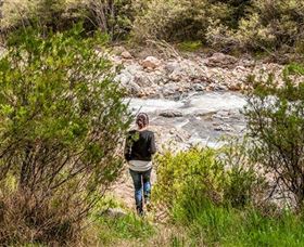 Old Mountain Road Walking Track - Accommodation Adelaide 1