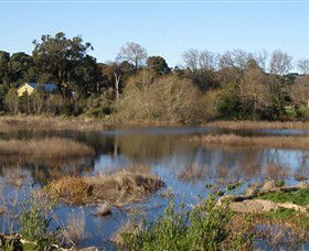Coolart Wetlands And Homestead - Accommodation Adelaide 0