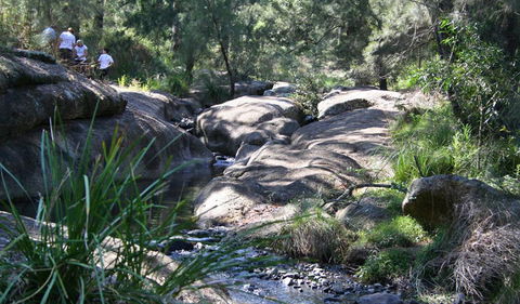 Towarri National Park - Accommodation Adelaide 0