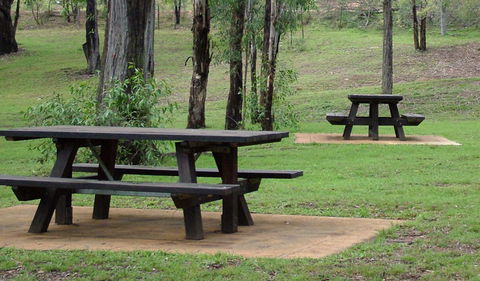 Towarri National Park - Accommodation Adelaide 2