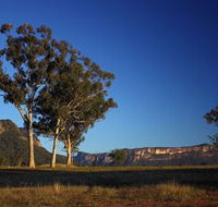 Capertee Valley Bird Trail - Accommodation Adelaide