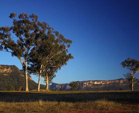 Capertee Valley Bird Trail - Accommodation Adelaide 0