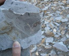 Fossil Rock - Accommodation Adelaide 1