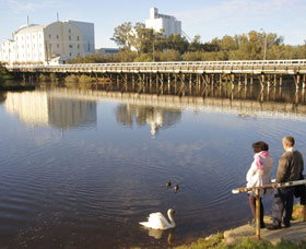 Avon River - Accommodation Adelaide 1