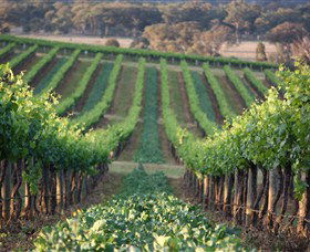 Two Rivers Wines - Accommodation Adelaide 1