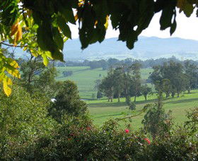 Brandy Creek Wines & View Cafe - Accommodation Adelaide 5