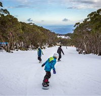 Mt Baw Baw Alpine Resort - Accommodation Adelaide