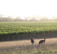 Small Forest Wine - Accommodation Adelaide