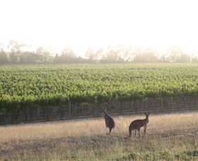 Small Forest Wine - Accommodation Adelaide 0