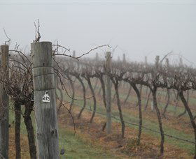 Small Forest Wine - Accommodation Adelaide 1