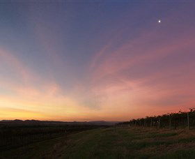 Small Forest Wine - Accommodation Adelaide 2